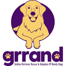 Maybe you would like to learn more about one of these? Give To Golden Retriever Rescue Adoption Of Needy Ky Gives Day