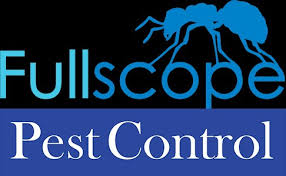 Ants, spiders and roaches just have a way of making your skin crawl. Diy Pest Control Gone Wrong Fullscope Pest Control