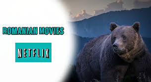 Netflix are o bibliotecă extraordinar de bogată, cu programe originale netflix premiate, lungmetraje, documentare, seriale, animeuri și multe altele. 5 Best Romanian Movies On Netflix List Of Romanian Movies On Netflix