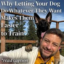 It's time to start normalizing GENUINELY listening to our dogs. Dogs are  constantly communicating, but are we truly listening? Listening goes far  beyond noticing vocalizations and how our dog is wagging their