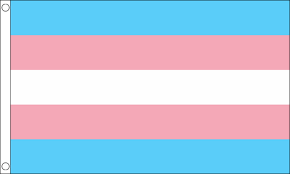 People who do not identify with the gender they were assigned to when they were born. Transgender Flag Buy Pride Flags Bunting At Flagman Ie