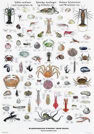 Crabs are one of those creatures that fire the imagination. 120 Crabs Ideas Sea Creatures Crustaceans Ocean Creatures
