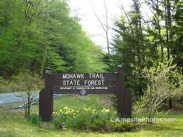 Maybe you would like to learn more about one of these? Mohawk Trail State Forest Campsite Photos Reservations Info State Forest Forest National Parks