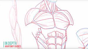 Perfect Your Illustration Skills With This New Free Learn How To Draw App Drawings Creative Bloq Art Tutorials