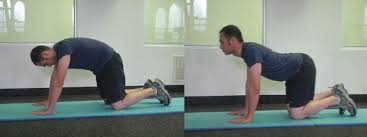 It is great for individuals that have. 17 The Cat Camel Stretch This Exercise Is Often Done At The Start Of Download Scientific Diagram