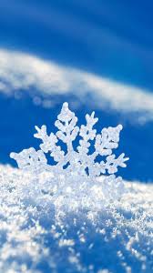 Only the best hd background pictures. Cute Snowflake Wallpaper Iphone Sheikhalove Iphone Wallpaper
