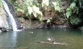 Sekilas memang terlihat hampir menyerupai tirai yang datar. Air Terjun Lumoli Wisata Tersembunyi Di Maluku Yang Wajib Kamu Kunjungi Backpacker Jakarta