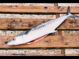 Esta biojóia foi confeccionada com escamas de peixe e capim dourado; Como Cortar Peixe Em Posta Peixe Serra Do Mar Youtube