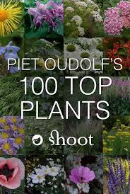 Piet Oudolf Is A World Famous Garden Designer Nurseryman And Writer In 2013 He Singled Out The 100 Plants He Won T Famous Gardens Garden Design Plans Plants
