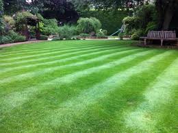 Rasen Im Garten Tipps Um Es Grun Zu Halten Neueste Dekoration 2018 Rasen Anlegen Garten Garten Terrasse