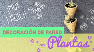 Una de las tendencias de decoración más populares en los últimos años son las plantas colgantes, debido a que estas dan un giro fresco e innovador a cualquier espacio de tu hogar. Decoracion Con Plantas Colgantes Como Hacer Manualidades Para Decorar Paredes Con Plantas Youtube