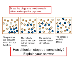 We did not find results for: Biological Examples Of Diffusion