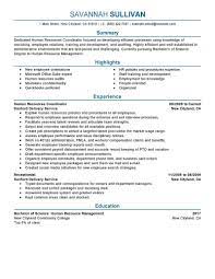 Hr Coordinator Resume Example Human Resources Sample Resumes Livecareer Resume Writing Services Sales Resume Examples Perfect Resume Example