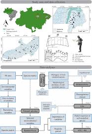 Jay oliver ft gerison baixar / jay oliver by elsonda18 : Morphological And Phylogenetic Factors Structure The Distribution Of Damselfly And Dragonfly Species Odonata Along An Environmental Gradient In Amazonian Streams Sciencedirect