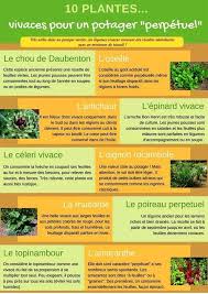 Pin By Karyn Mamoizellek On Organic Garden Gardening For Beginners Organic Gardening Permaculture