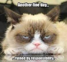 Another Fine Day Ruined By Responsibility Grumpy Cat Grumpy Cat Humor Grumpy Cat Meme