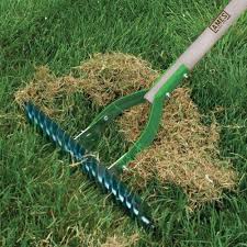 The snow has melted and it's a tradition; Lawn Dethatching Guide How When To Detatch Your Lawn Lawn Chick