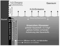 In der wasserforschung diskutieren österreichische forscher der tu graz und der universität graz über neue materialien. Sulfidprobleme In Abwasseranlagen Beton Wiki