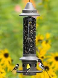 Bird Feeder Protection From Squirrels Protect Your Bird Seed Bounty From Squirrels With Our Eliminator Bird Feeder When A Squirrel Touche Squirrel Proof Bird Feeders Bird Feeders Best Bird Feeders