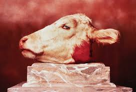 An international award winning saga of old mexico. Phillips Andres Serrano Cabeza De Vaca Cow Head 1984 Contemporary Art Part Ii New York Friday May 18 2007 Lot 318