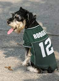 Jun 13, 2021 · the san francisco giants legend and his sister cheryl dugan entered his miniature schnauzer named rocky in the westminster kennel club dog show over the weekend. Officially Licensed Nfl Aaron Rodgers Green Bay Packers Jersey Paws Place