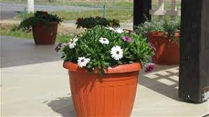 Svake godine, druge nedjelje u svibnju, u 47 zemalja svijeta majke slave svoj dan. Ivancica Cijena Opg Jurica Ravenscak