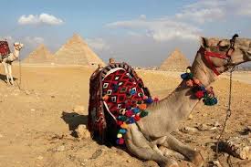 Try a horse or a camel riding at giza pyramids for 2 hours during the sun rise or sun set. Private Daytour To Giza Pyramids With Camel Riding Plus Egyptian Museum Marriott