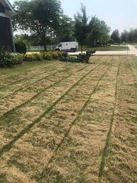 Those knifelike blades cut through the sod and pull out. Lawn Dethatching Power Raking Services In Naperville Plainfield Illinois