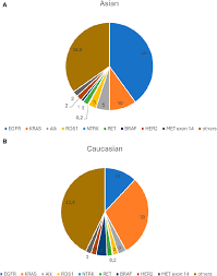 Pathology & Oncology Research | The rapidly changing field of predictive  biomarkers of non-small cell lung cancer