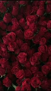Wallpaper By Artist Unknown Red Roses Wallpaper Flower Wallpaper Red Wallpaper