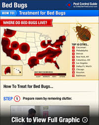 how to get rid of bed bugs diy bed