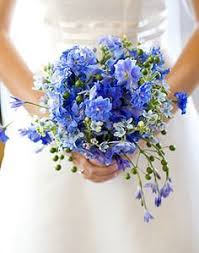 Weddingchannel Galleries Blue Bridal Bouquet With Stephanotis Best Stuff Blue Wedding Flowers Bridal Bouquet Blue Wedding Bouquets