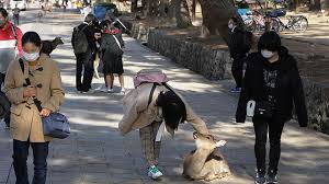 Jadwal buka puasa ini berdasarkan jadwal imsakiyah dari kementerian agama republik indonesia. Serunya Bercengkrama Dengan Rusa Liar Di Taman Nara Foto Tempo Co