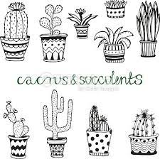 epingle sur botanical pinterest coloriages pour les tout-petits