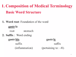 Med term1(terms) | PPTX