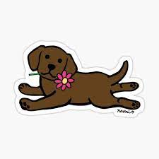 We did not find results for: Chocolate Labrador Stickers Redbubble