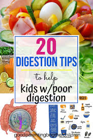 20 Important Things You Didn T Know About Kids Digestion Digestion Problems Digestive Health Digestive Issue