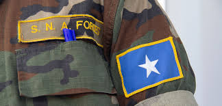 Somalia also has several opportunities. The Uae S Long Term Somalia Strategy