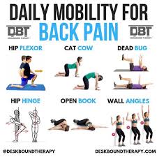 Pin On Gym Workout Chart And Plans