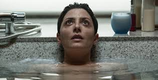 Der unsichtbare Gast : Casas, Mario, Lennie, Barbara, Coronado, Jose,  Wagener, Ana, Paulo, Oriol: Amazon.se: Filmer och TV