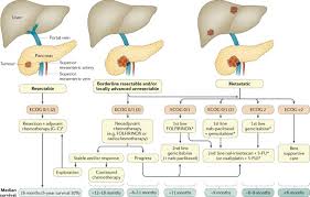 It affects people of all races, genders and ages, which is why it's absolutely critical for americans to learn about. Therapeutic Developments In Pancreatic Cancer Current And Future Perspectives Nature Reviews Gastroenterology Hepatology