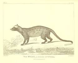 Maybe you would like to learn more about one of these? The History Of Sumatra