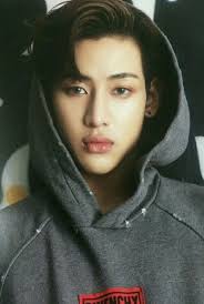 Pin Oleh Got7 Are Kings Di Bambam Jackson