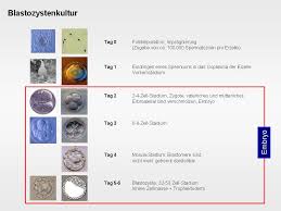 Ihr beitrag hat mein interesse geweckt. Behandlung Spezielle Laborverfahren Blastozystenkultur Kinderwunsch