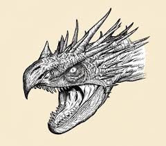 The hungarian horntail was a species of dragon native to hungary, which was considered to be one of the most dangerous dragon breeds, if not the most dangerous. The Detailed Art Of J M Dragunas Hungarian Horntail