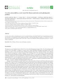 Image result for Coccinia subsessiliflora