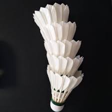 These types of shuttles may still be used in modern play, but shuttles made from synthetic materials are also allowed by the badminton world. China Wholesale Price 12pcs Tube Shuttlecock Badminton Ball Duck Feather Shuttlecock China Badminton Shuttlecock And Duck Feather Shuttle Price