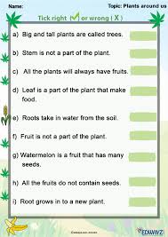 Edwayz Science Worksheets Science Kindergarten Worksheets Third Grade Science Worksheets