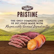 Castor & Pollux Organix® Organic Small Breed Recipe With Healthy Grains  Reviews 2024