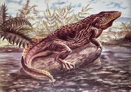 Image result for Isachne buettneri